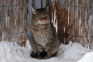 Экскурсия в парк Беремицкое